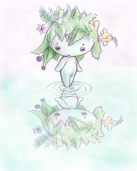 Pixie Wisp Reflection